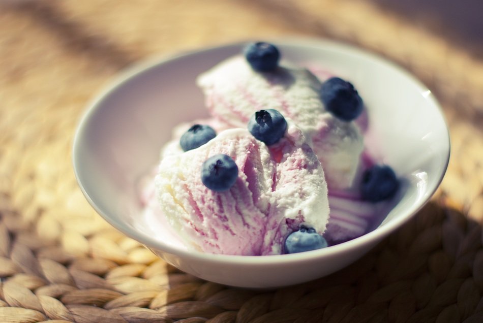 bowl of blueberry ice cream topped with blueberries