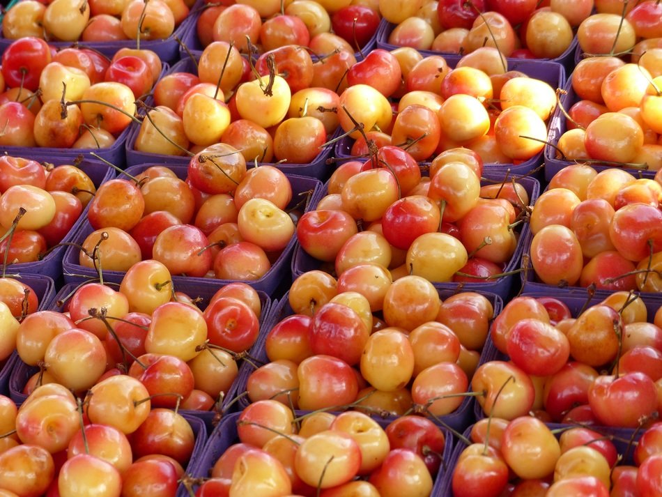 white sweet cherry on the market