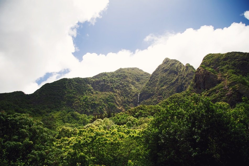 mountains filled with crops of vegetables and lush