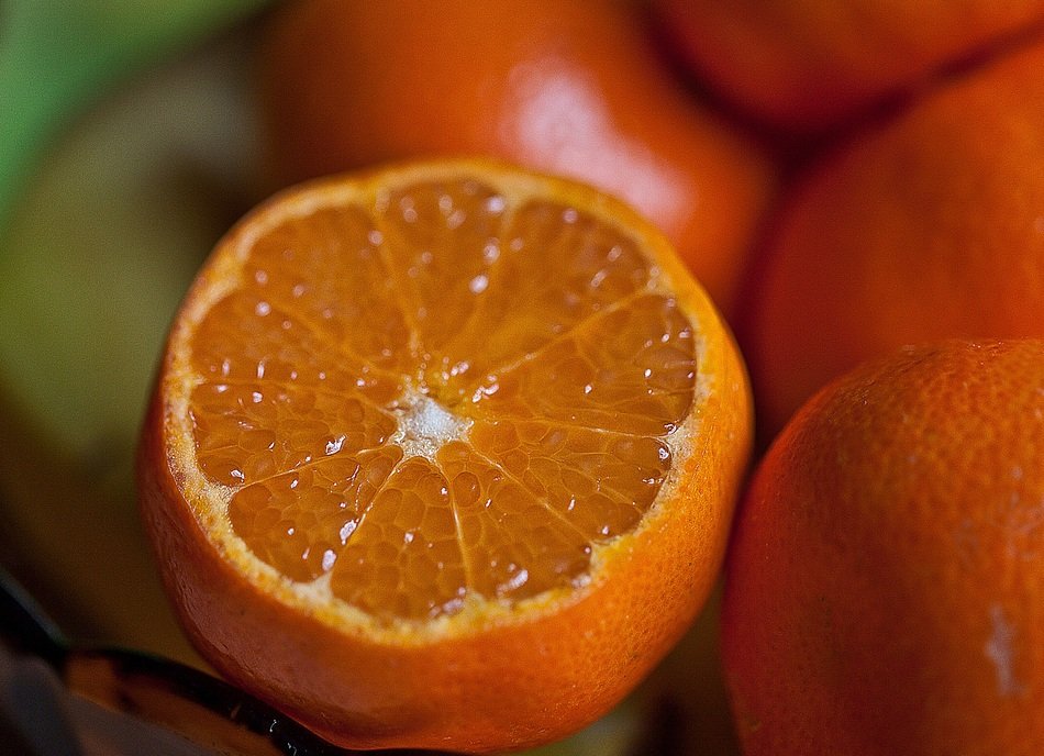 Close up photo of southern fruit