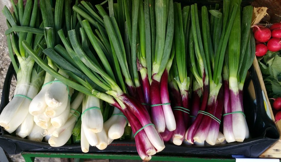 different onions in the market