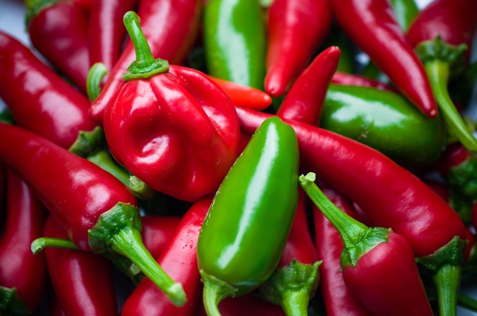 A lot of chilli papers
