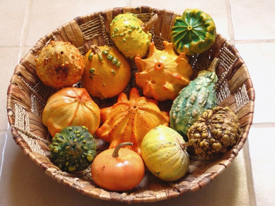 decorative dry pumpkins