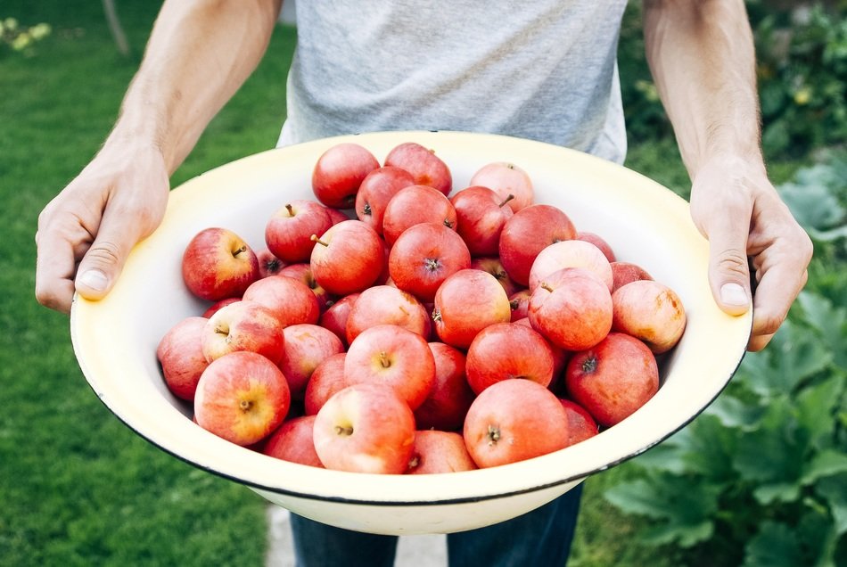 bio farm fruits