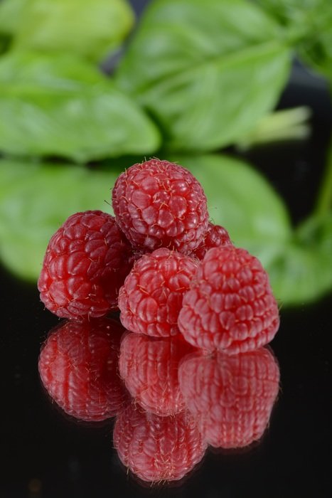 raspberry fruit mirror image reflection