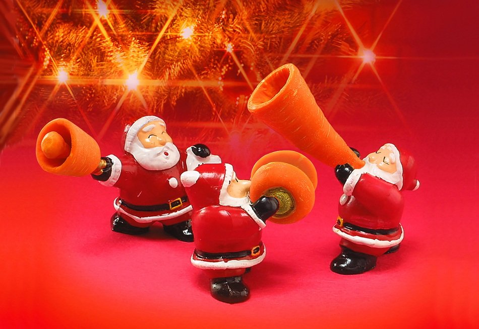 carrots for funny christmas