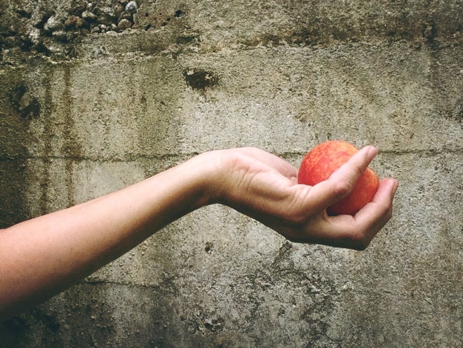 Photo of the Hand is holding a peach