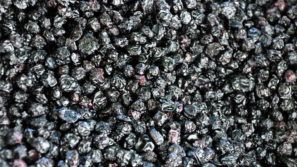 dried whortleberry background