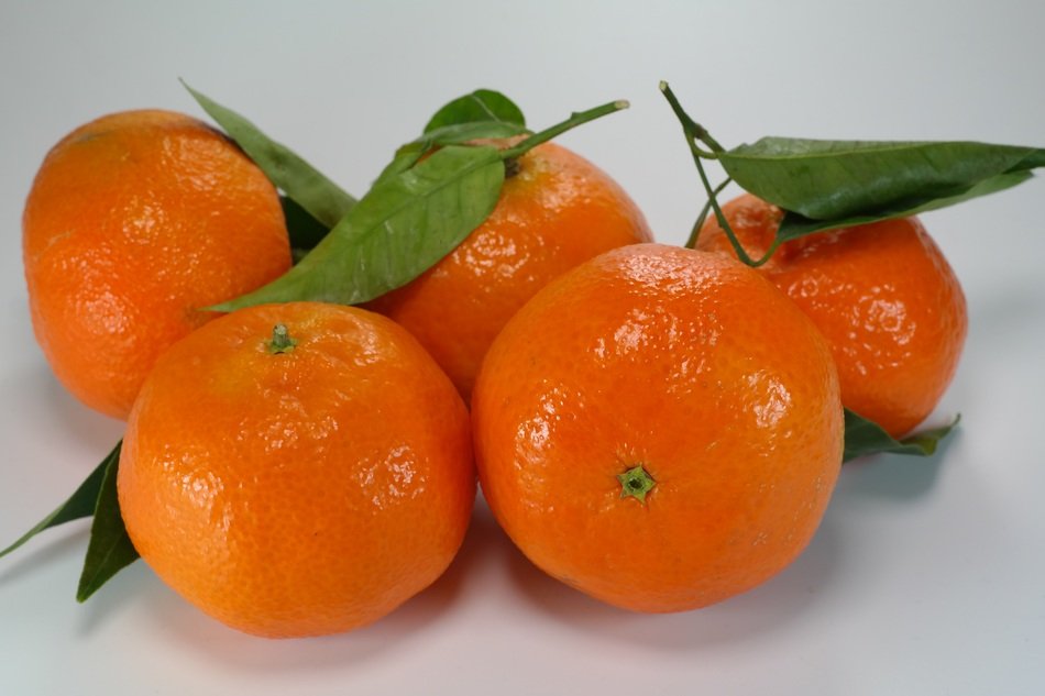 fragrant fresh tangerines