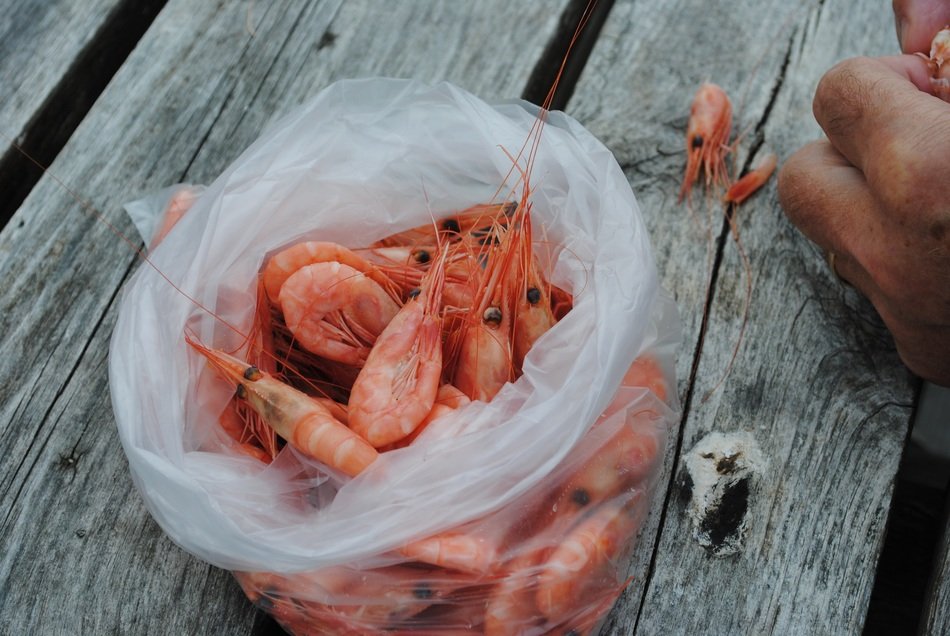 shrimps in the package on wooden surface