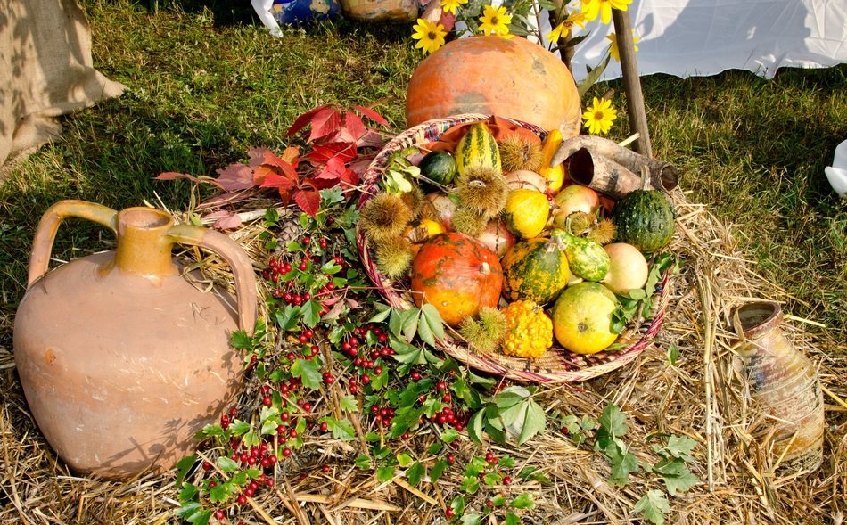 composition with autumn harvest