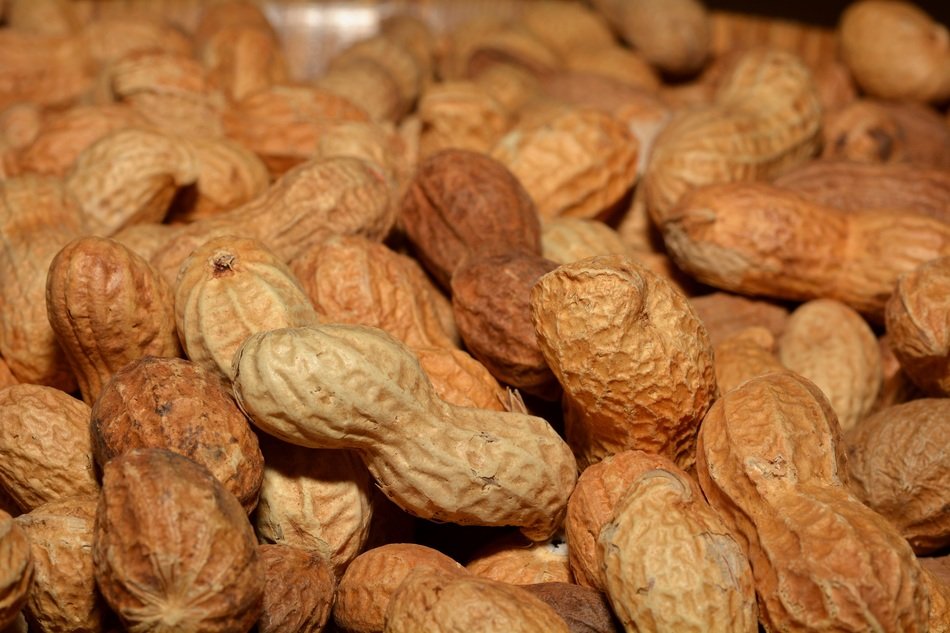many fresh peanuts in shells