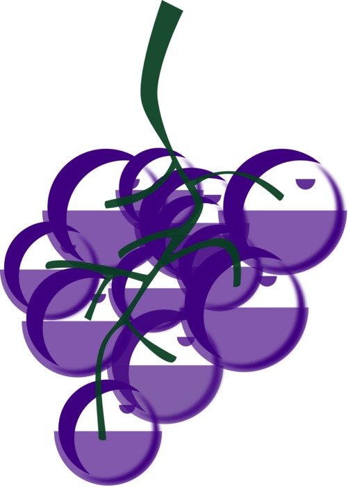 graphic image of a grone of blue grapes
