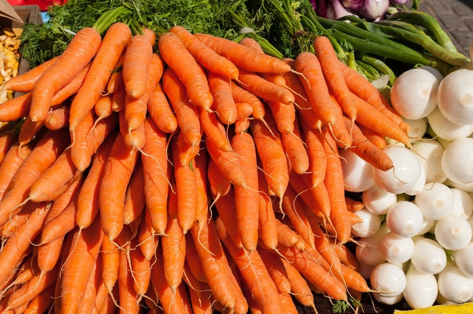 harvest orange carrots in the market