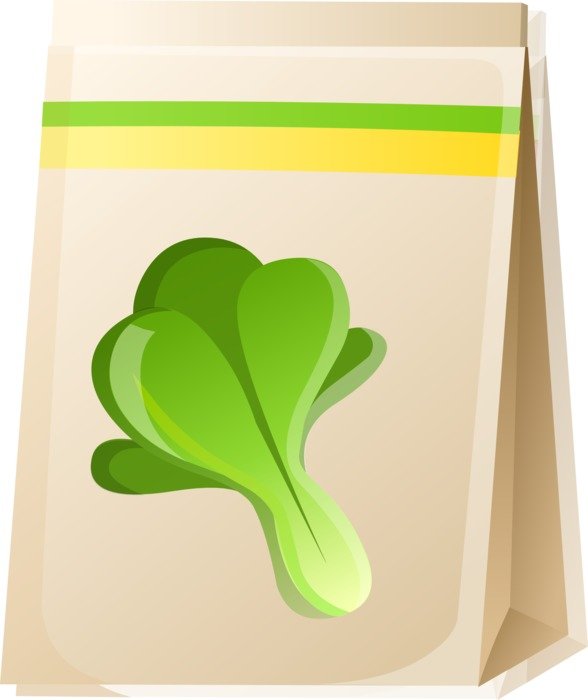 drawing of bag with cabbage seeds