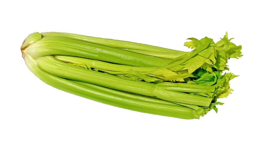 celery on the white background