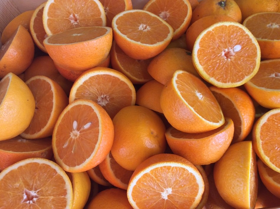 Fresh cut tasty delicious oranges