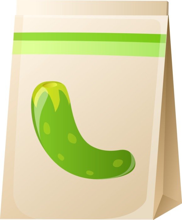 drawing of bag with cucumber seeds