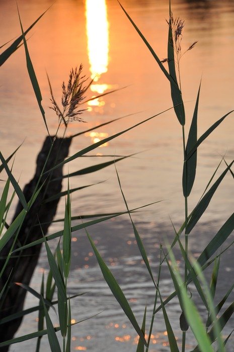 Sunset on the beautiful river