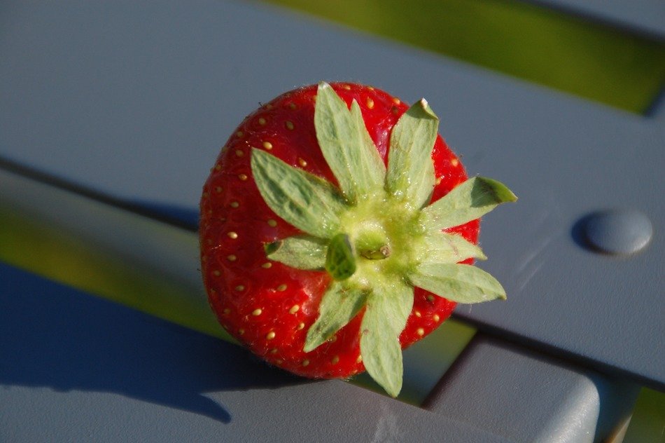 Fresh.sweet,healthy strawberry