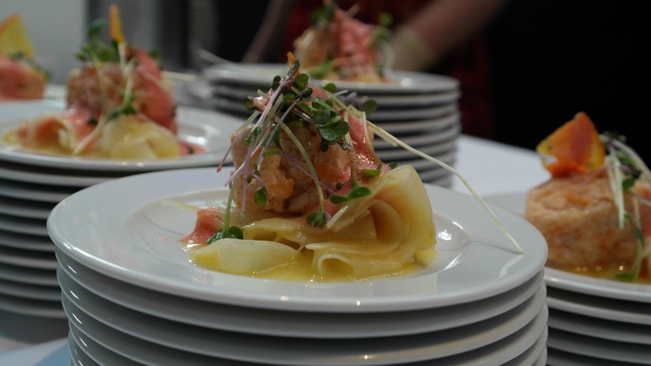 salmon tartare on white plates