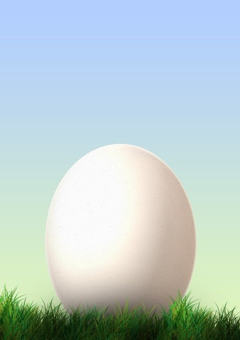 white egg on the meadow against the sky