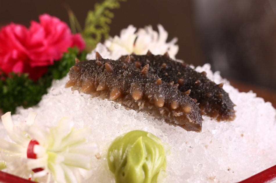 fresh sea cucumber