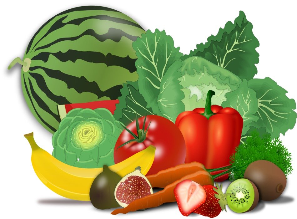 fresh fruits and vegetables, illustration