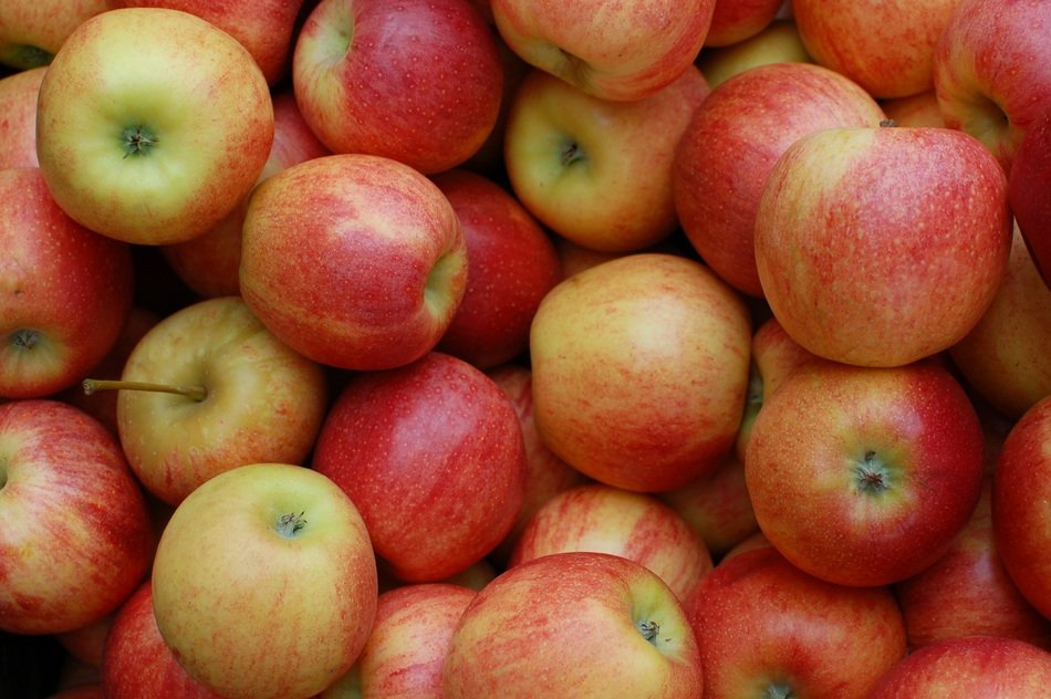 Beautiful ripe red apples