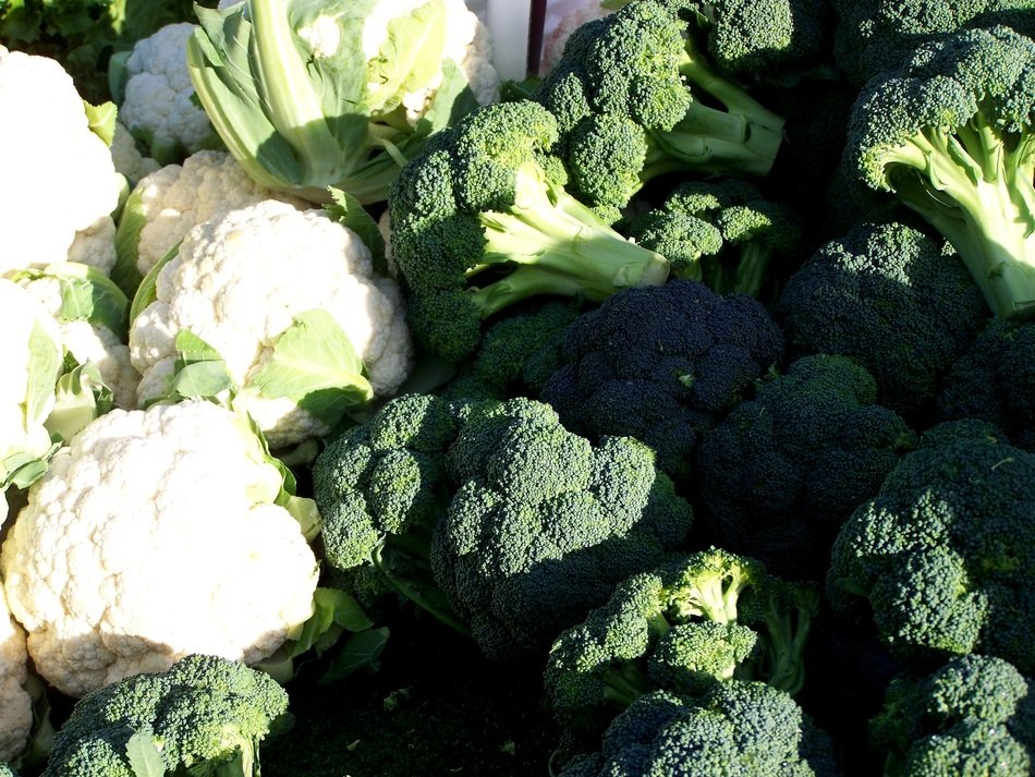 broccoli and cauliflower in the sunlight
