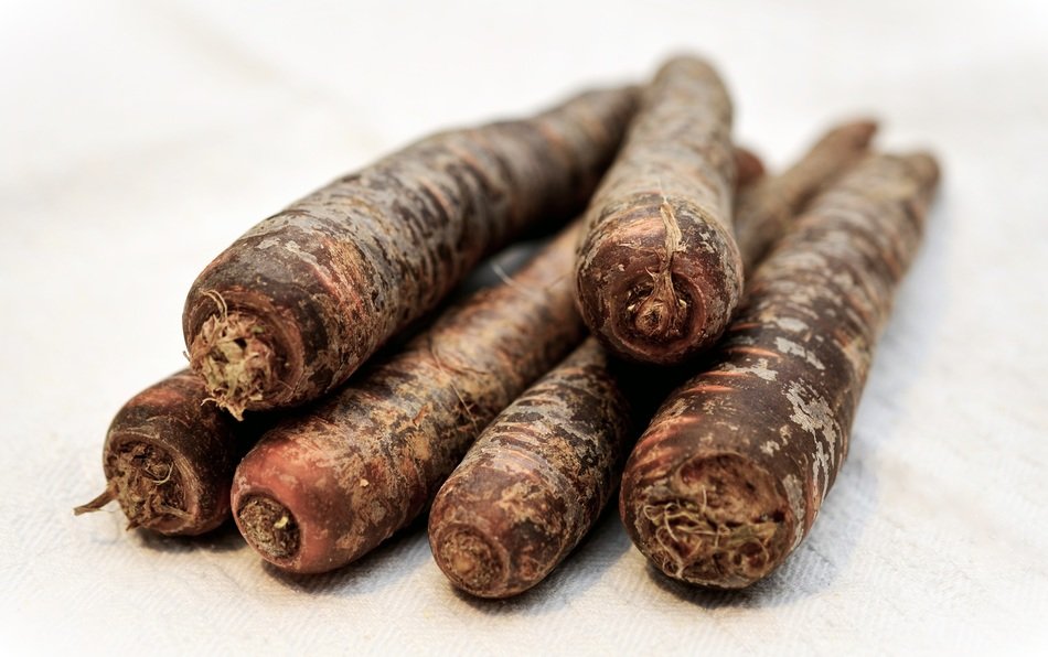 black carrot on the table