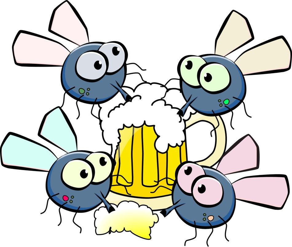 clipart of the flies with beer