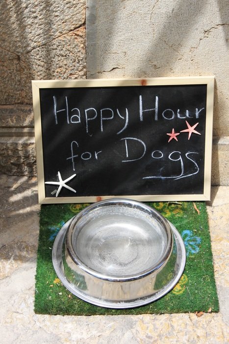 happy hours, black board at bowl with water for dogs