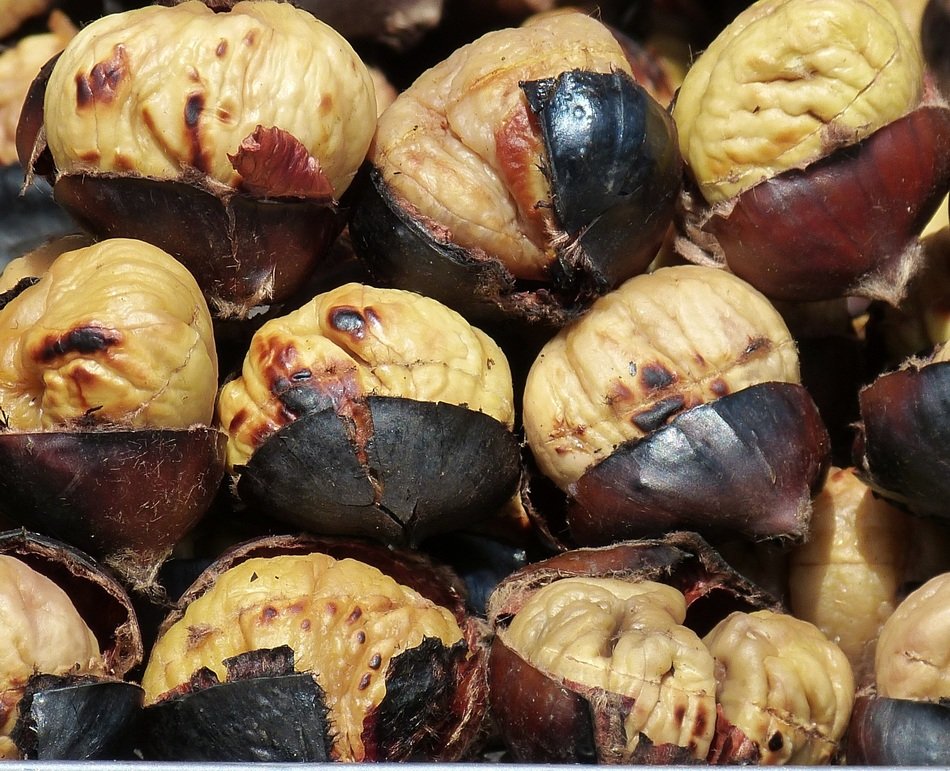 Roasted chestnut snack