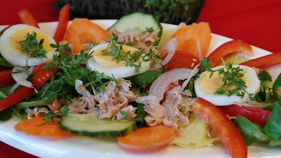 salad plate with eggs