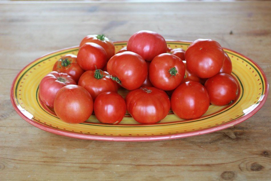 assorted tomatoes on a plate