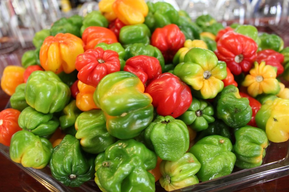 harvest of bright fresh sweet peppers