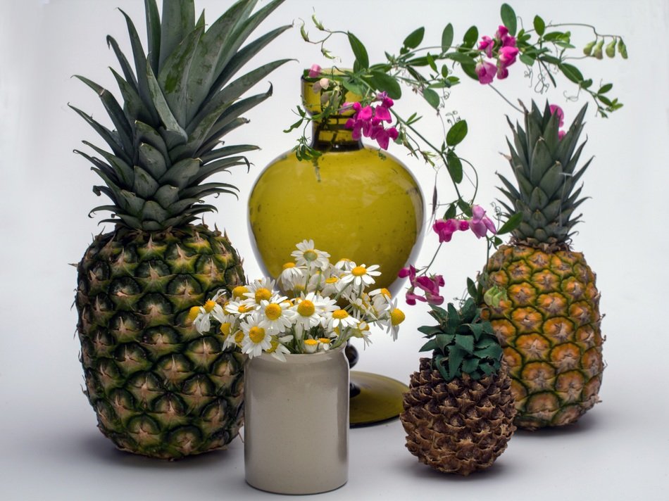 still life with pineapples and flowers