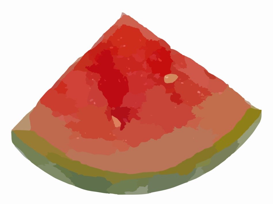 colorful illustration of watermelon slice