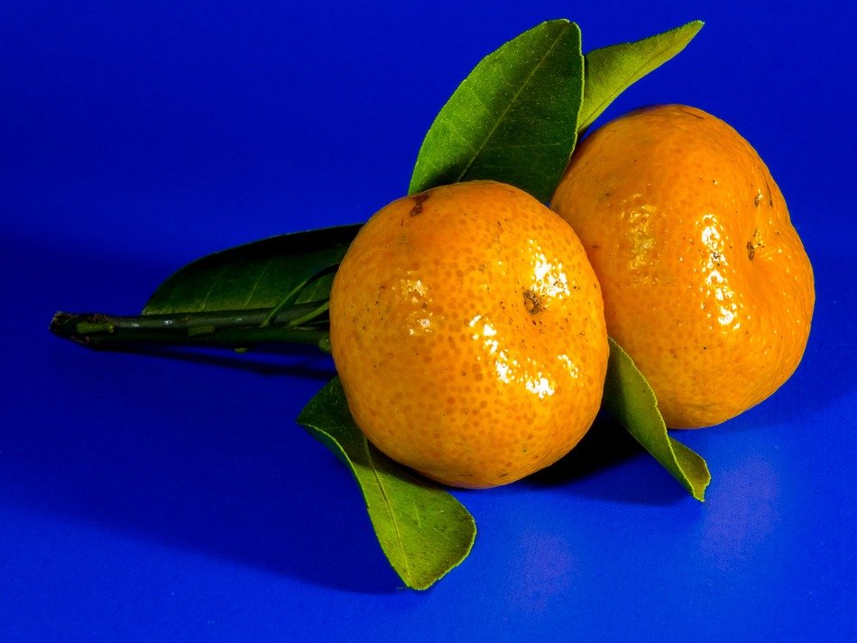 two juicy mandarin