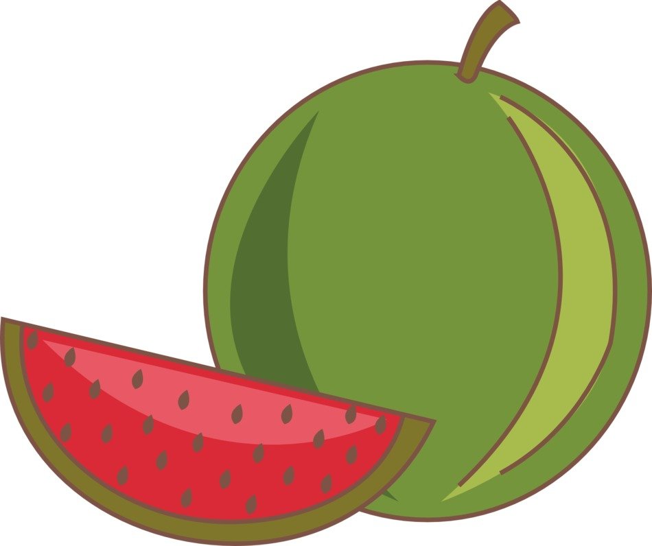 watermelon with cut out piece, drawing