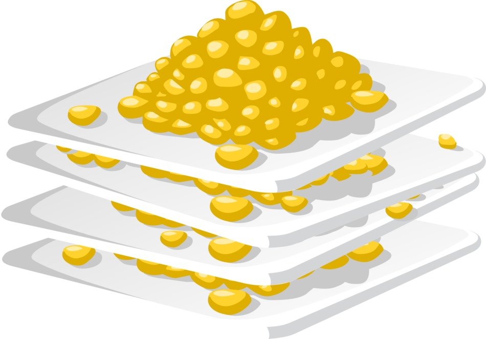 sweet corn on the plates
