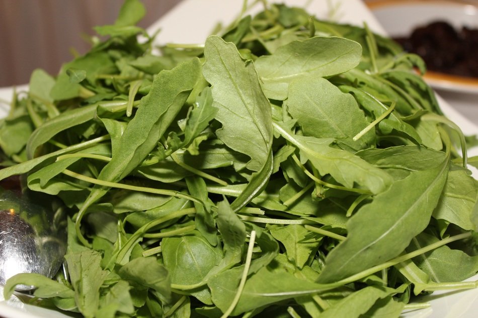 Salad of healthy rocket in the cold buffet