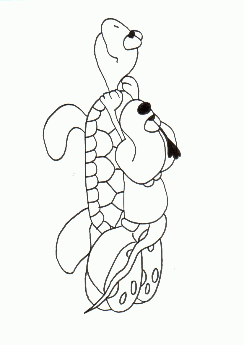 Cartoon dog rides a turtle free image download