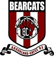 Soccer Shields Logo N4