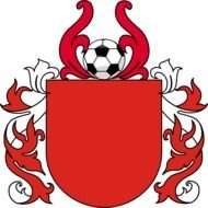 Soccer Shields Logo N5