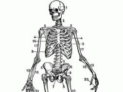 Vintage Skeleton Key Clip Art N5