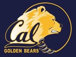 Ä°llustration of the California Golden Bears Logo