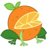 cartoon orange frog