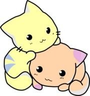 Cute Cartoon Cats N14